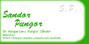 sandor pungor business card